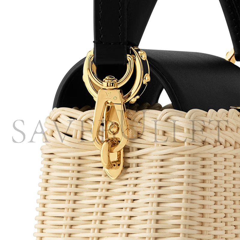 LOUIS VUITTON MASTER CAPUCINES MINI M26003 (21*14*8cm)